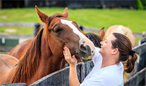 Owner with their horse