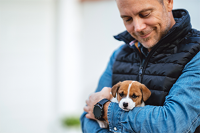 Photo of a man holding a Jack Russell puppy