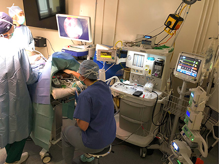 Vets performing surgery on a dog with anaesthetic monitoring equipment