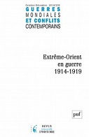 Les combattants irlandais face