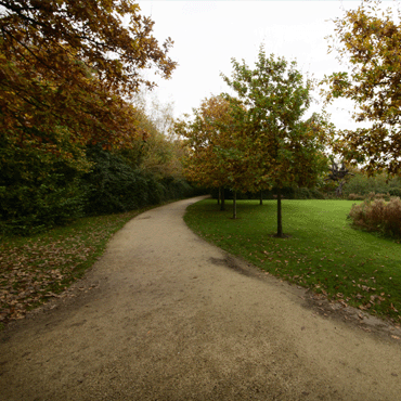 UCD Campus in autumn