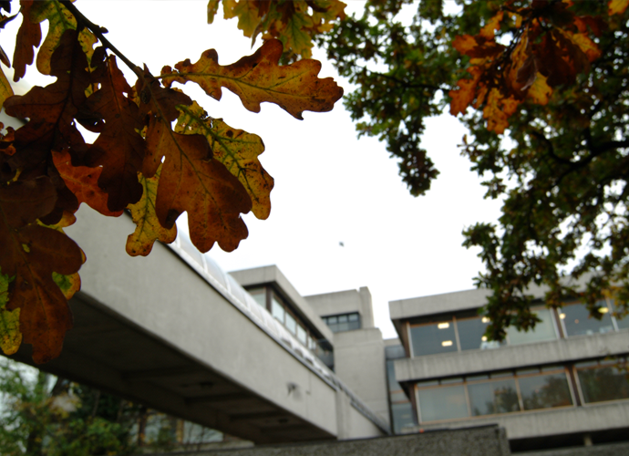 Tunnel between Newman and Tierney buildings in autumn