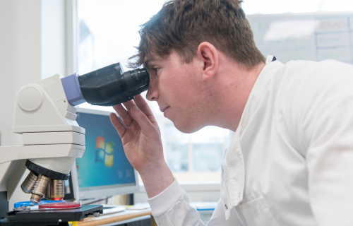 Info for all researchers